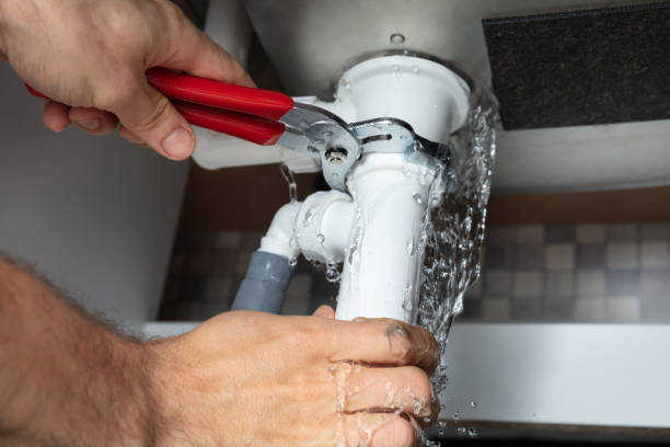 Best Water damage mitigation services  in Gettysburg, SD