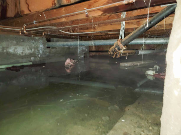 Best Flood damage cleanup  in Gettysburg, SD