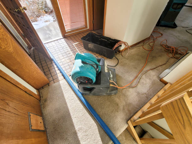 Best Water damage restoration near me  in Gettysburg, SD