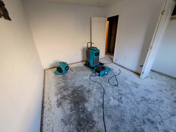 Best Flooded house restoration  in Gettysburg, SD