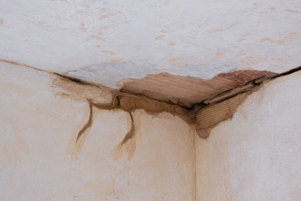 Best Basement water damage restoration  in Gettysburg, SD