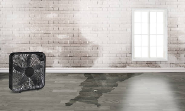 Best Water damage contractors near me  in Gettysburg, SD
