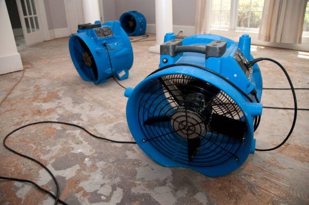 Best Fire Damage Restoration  in Gettysburg, SD