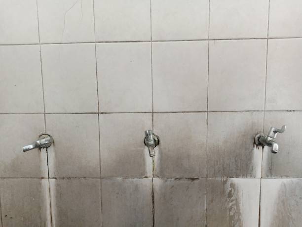 Best Mold removal after water damage  in Gettysburg, SD