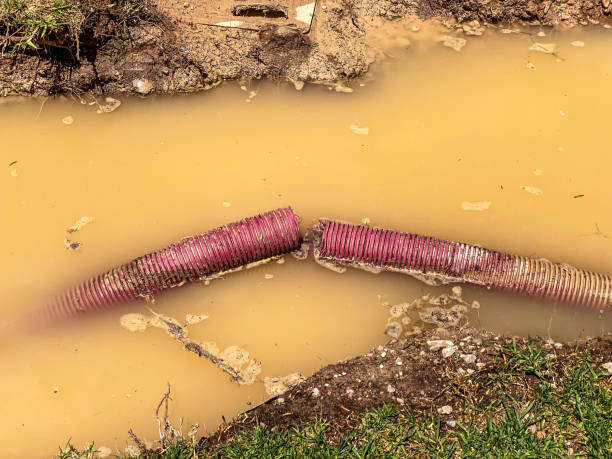 Best Carpet water damage restoration  in Gettysburg, SD