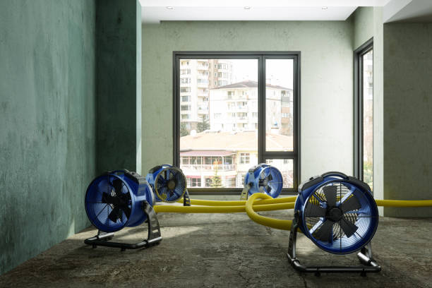 , SD Water damage restoration Company